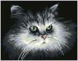 Shadow Cat (Framed Square)