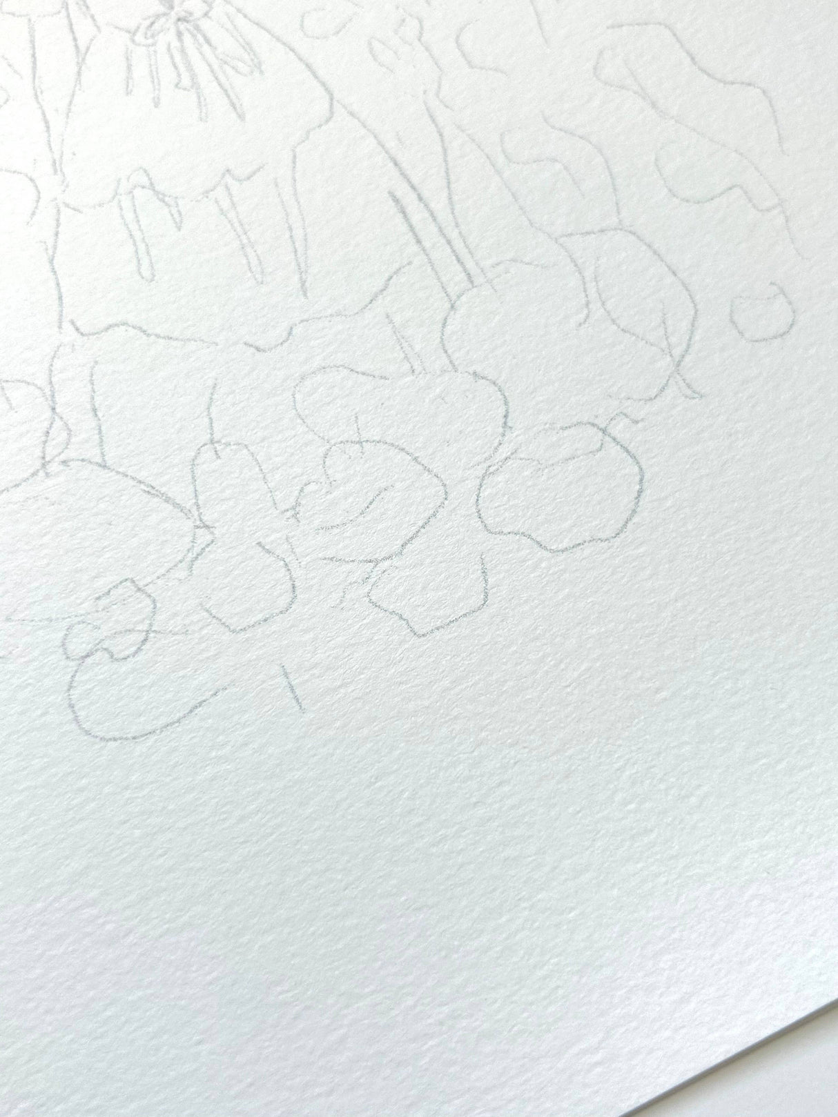 Flowers Watercolor Workbook