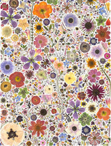Beautiful Blooms Wrapping Paper Book