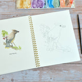 Watercolor workbook, Backyard Birds Watercoloring book
