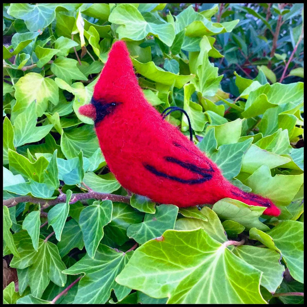 Birds Felting Kit