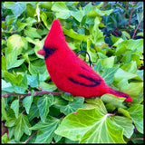 Birds Felting Kit