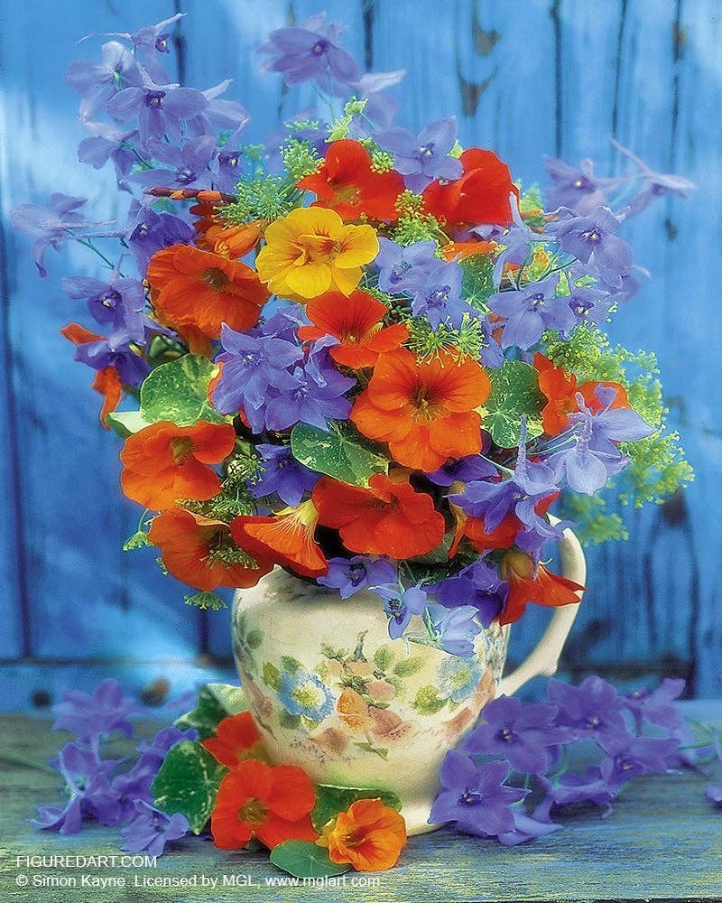 Figured'Art Paint By Number  Rolled Kit -Colourful bouquet