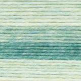 Lion Brand Yarn Landscapes Renewed Sweet Mint