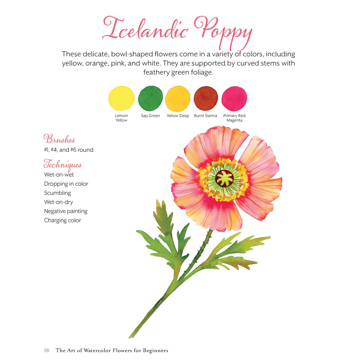 The Art of Watercolor Flowers for Beginners