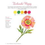The Art of Watercolor Flowers for Beginners