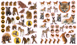 Eyelike Stickers: Baby Animals