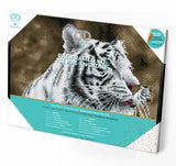 Tigre Blanc (Framed Square)