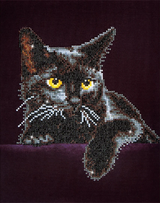 Midnight Cat Pre-Framed Kit- 11" x 14"