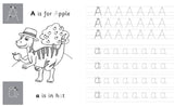 Trace & Learn Handwriting Practice: Dinosaur