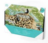 Jungle Price (Framed Square)