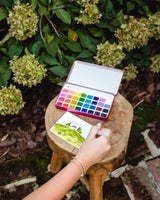 Cape Harbor watercolor painting kit