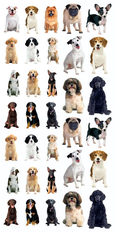 Paper House Decorative Stickers-Dogs
