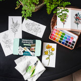 Cape Harbor watercolor painting kit