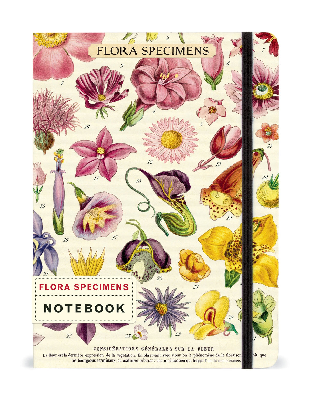Cavallini Large Notebook-Floral Specimens