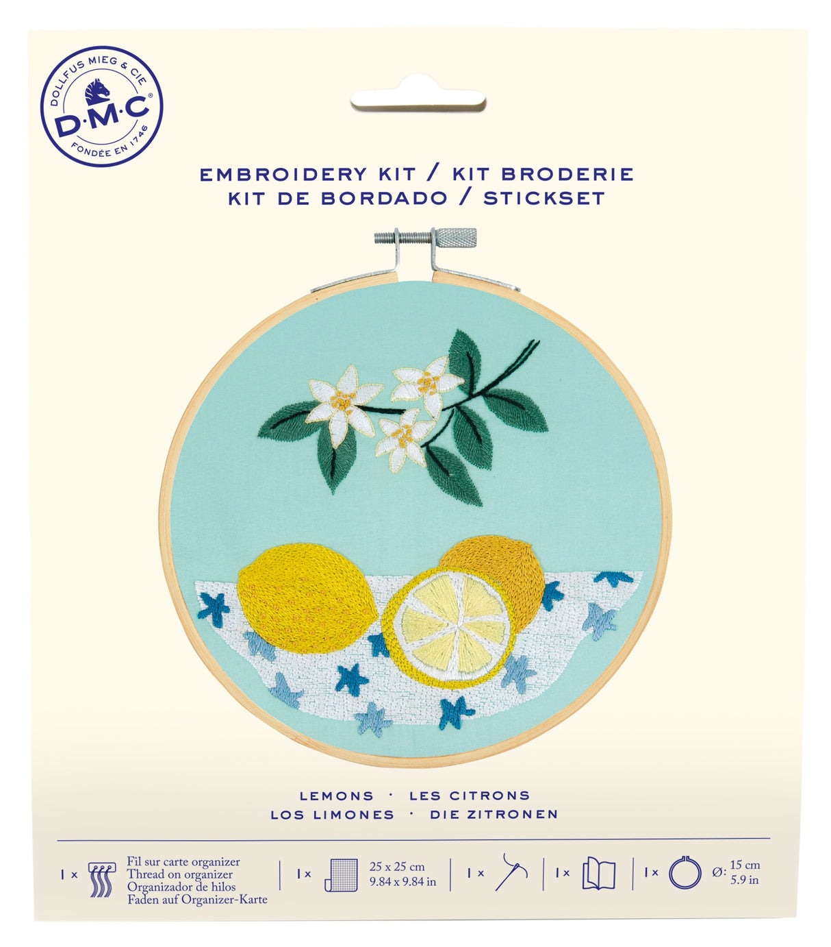 DMC Embroidery Beginner Kits-Lemons 9.8"X9.8"
