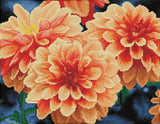 Peach Dahlias Pre-Framed Kit - 17.7" x 13.8"
