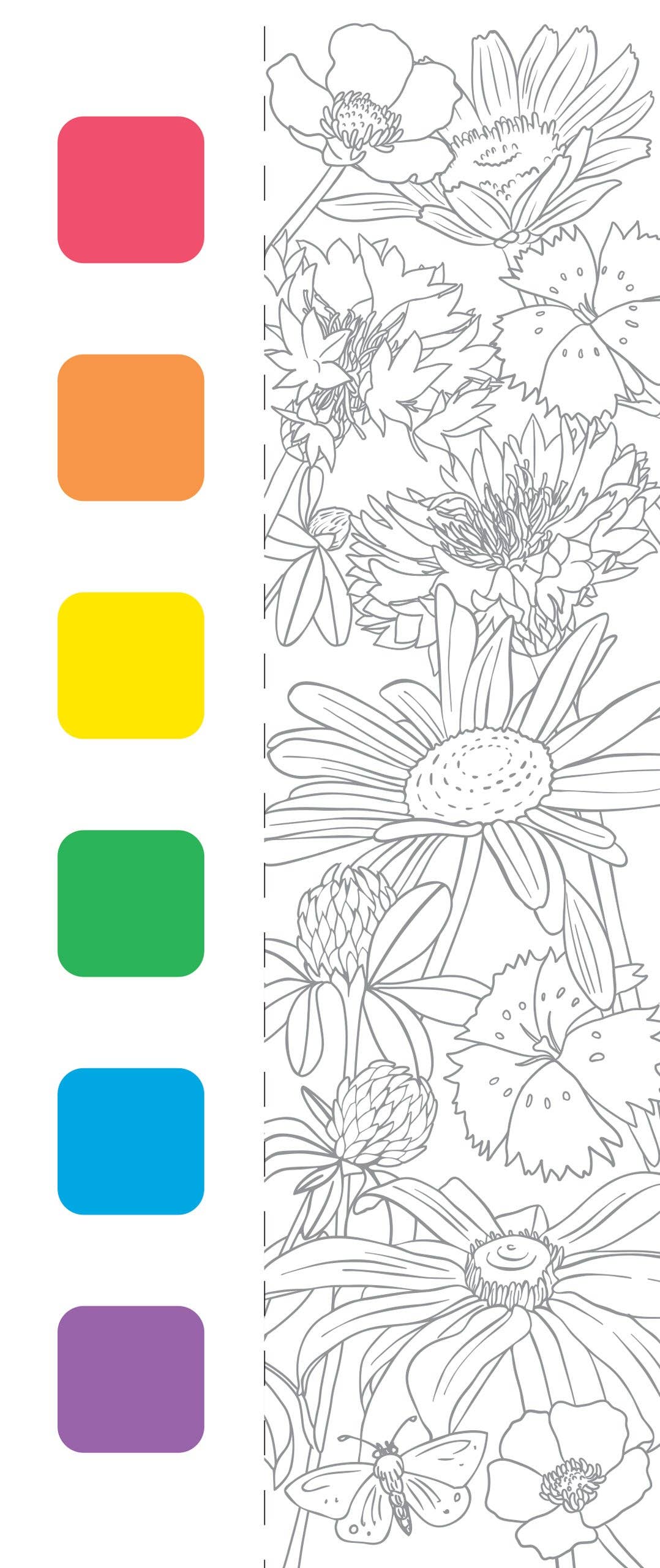 Wildflowers Watercolor Painting Kit