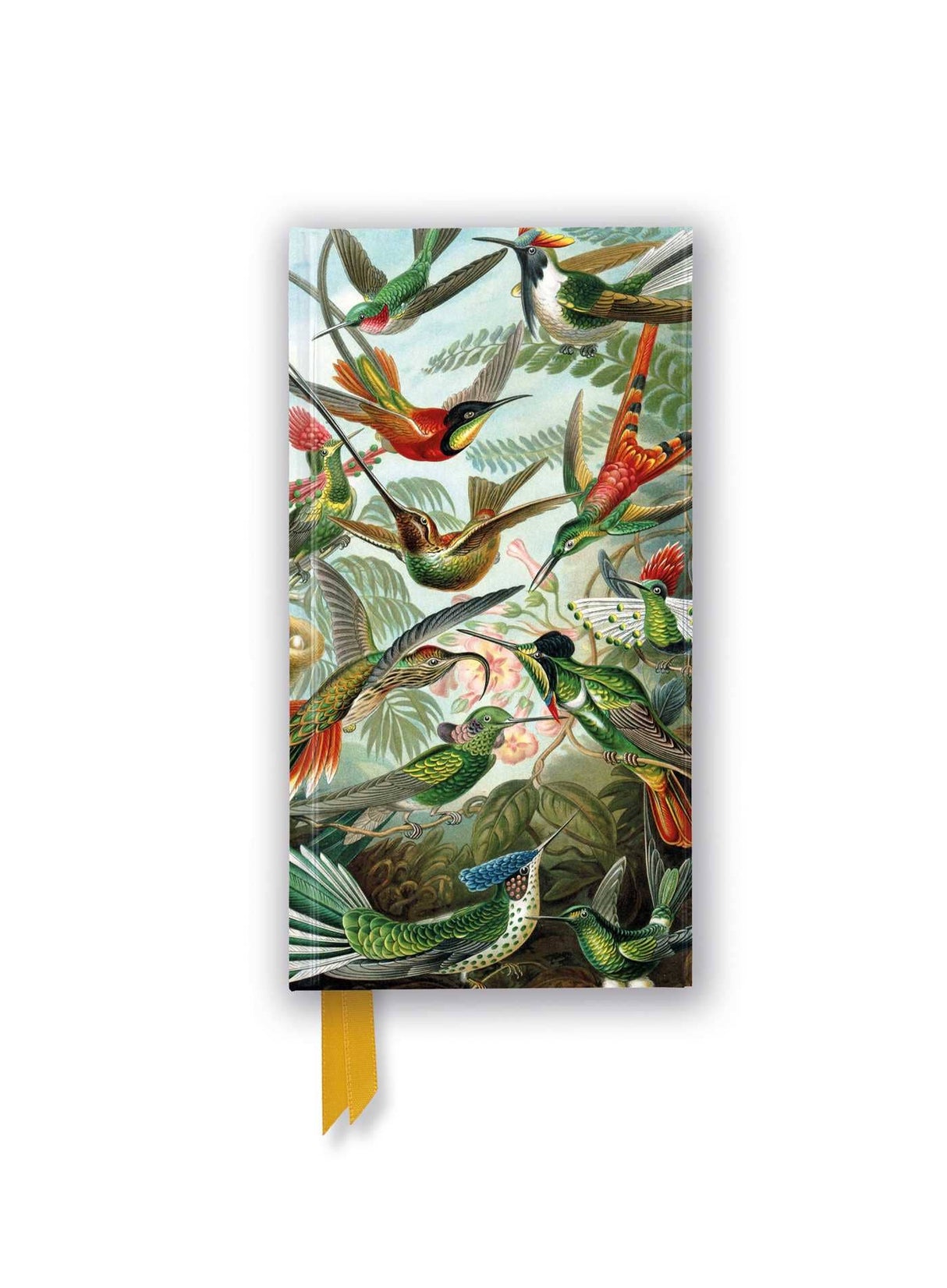 Ernst Haeckel: Hummingbirds Slimline Journal