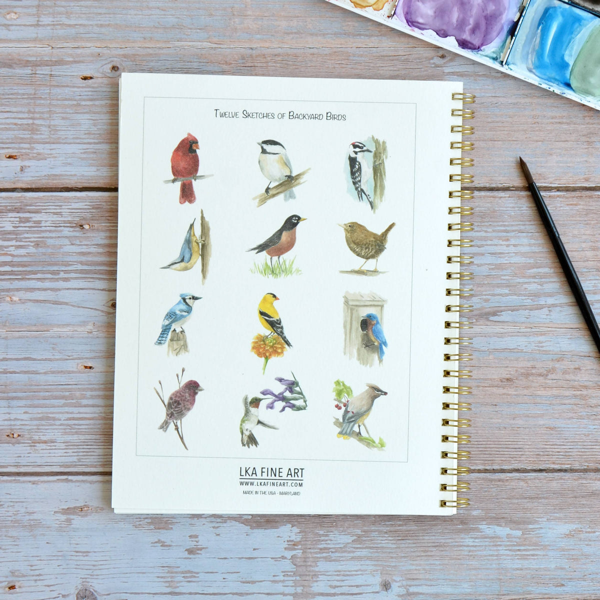 Watercolor workbook, Backyard Birds Watercoloring book