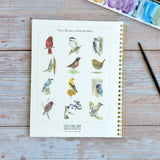 Watercolor workbook, Backyard Birds Watercoloring book