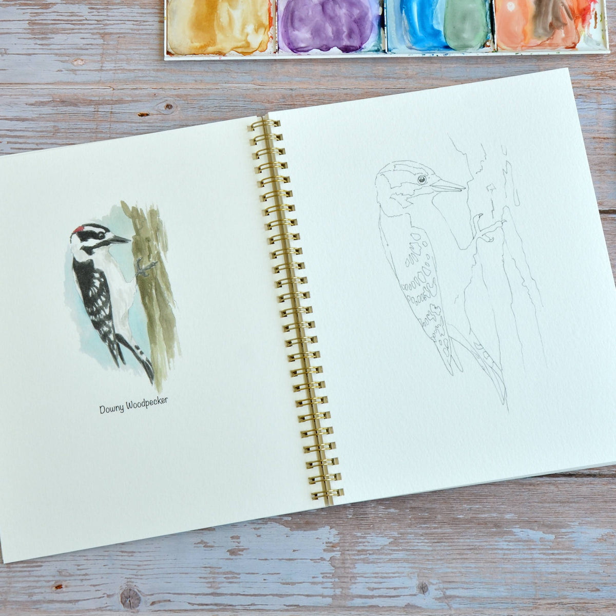 Watercolor workbook, Backyard Birds Watercoloring book
