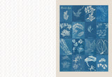 Collage Compendium