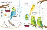 Wipe-Clean Pet Activities : Usborne