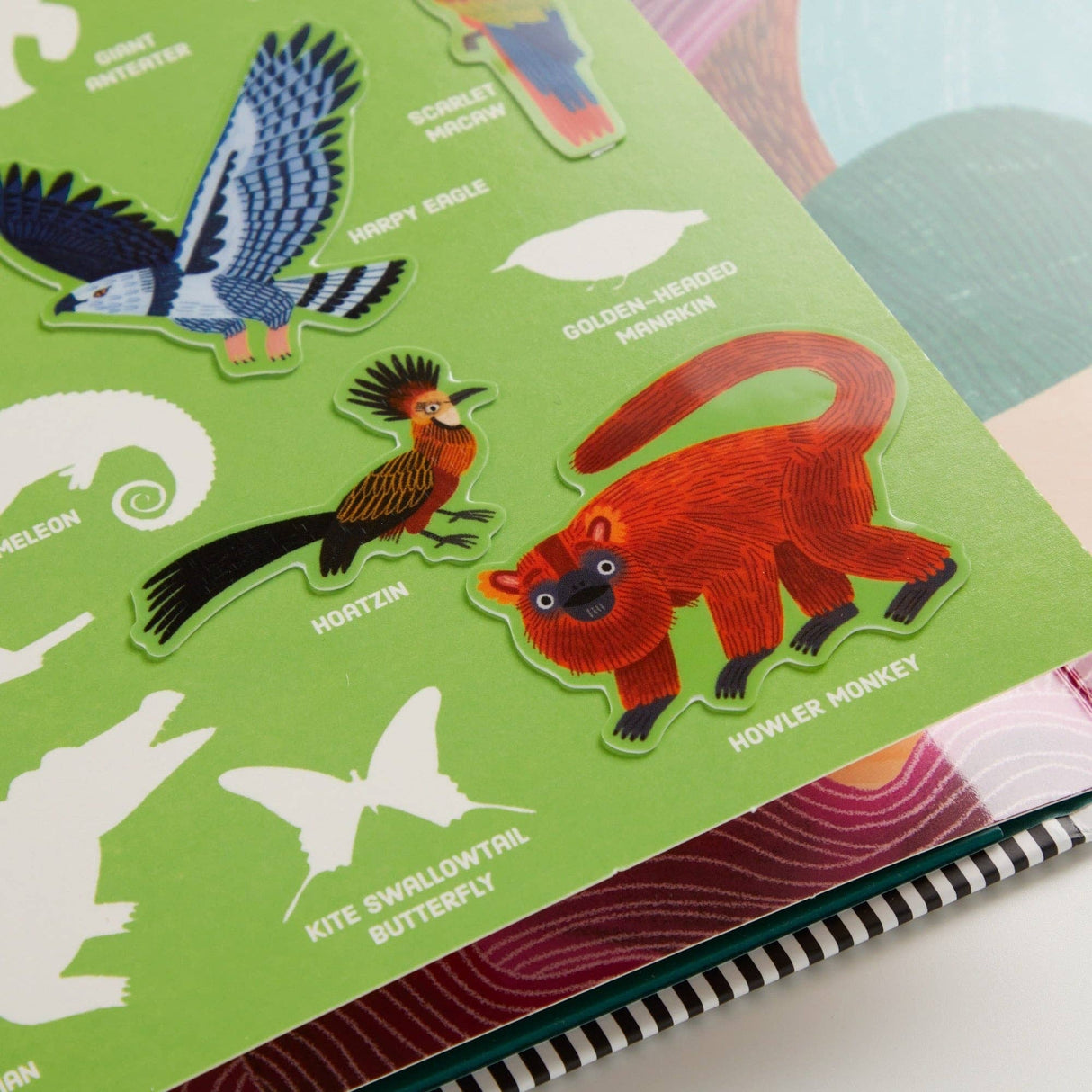 Rainforest Sticker Play Reusable Activity Set