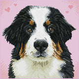 Say Hello to Zuzu (Framed Square)