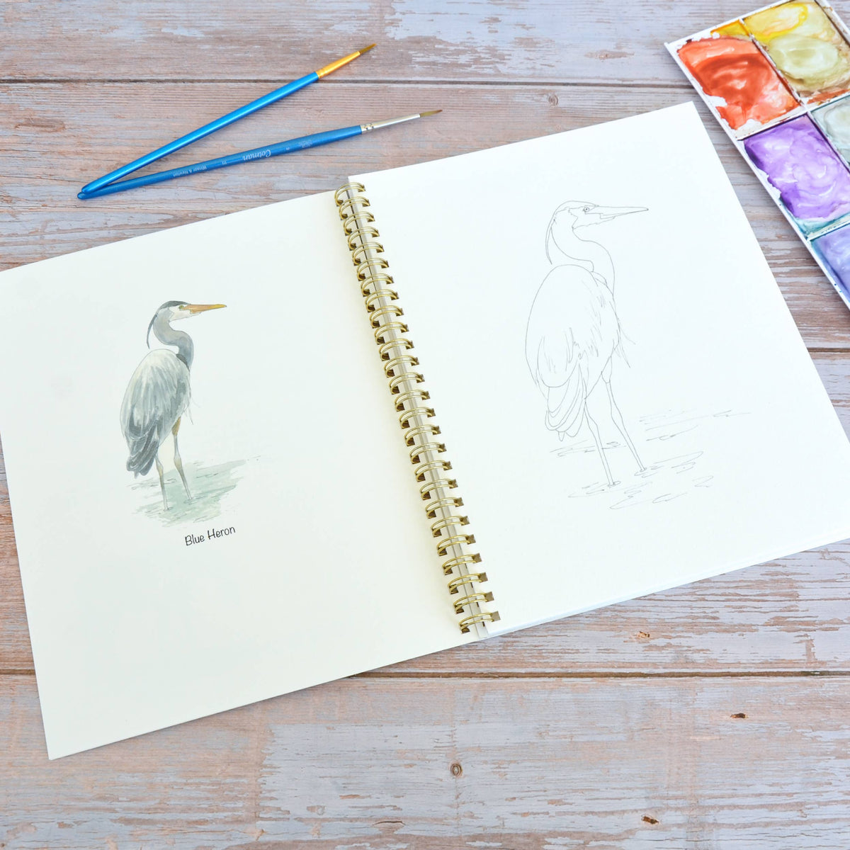 Watercolor workbook, Water Birds Themed Watercoloring book