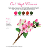 The Art of Watercolor Flowers for Beginners