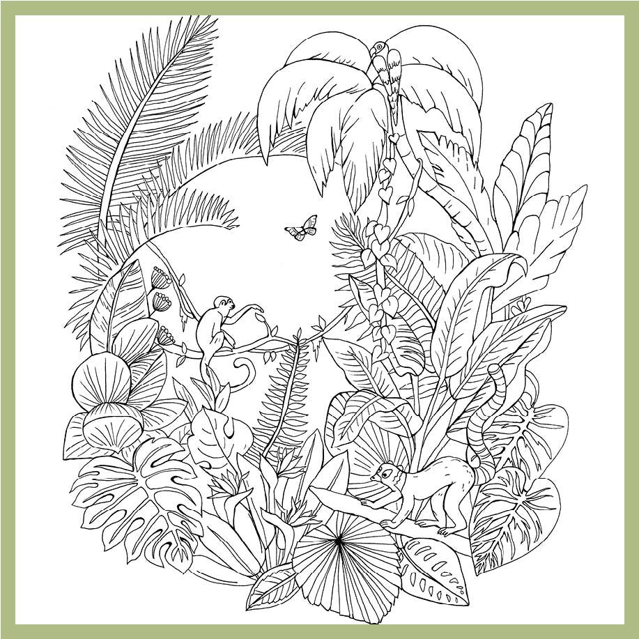 Tropical Wonderland: A Calming Coloring Book for Adults