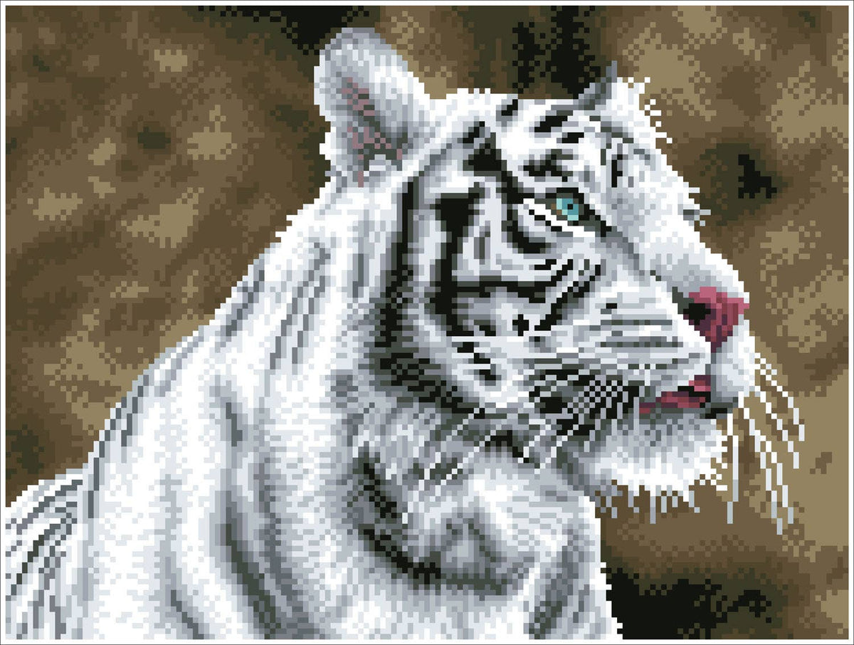 Tigre Blanc (Framed Square)