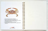 By The Sea Watercolor Workbook