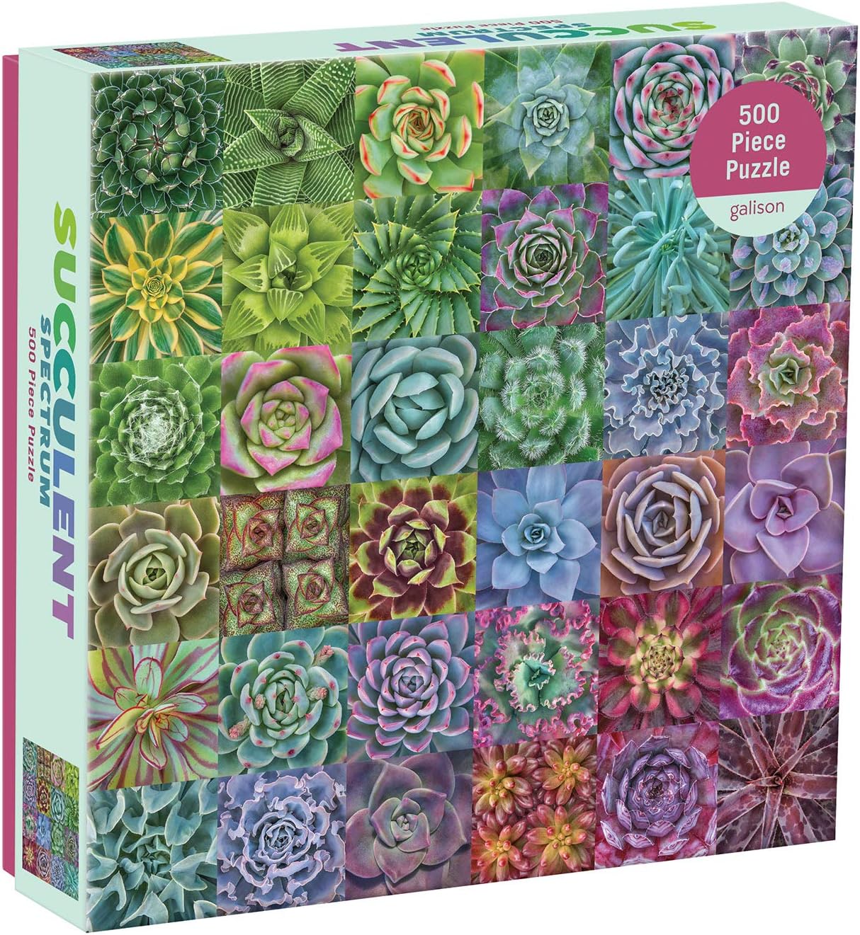 Galison Succulent Spectrum Jigsaw Puzzle 500 Pieces 20" x 20''