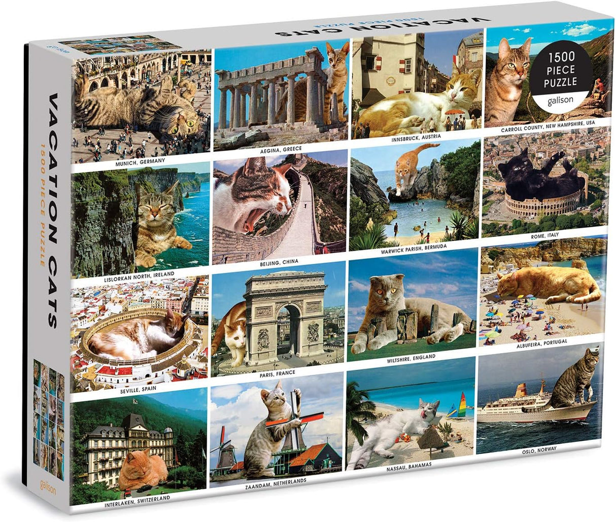 Vacation Cats 1500 Piece Puzzle from Galison - Features 16 Super-Imposed Photos of Cats