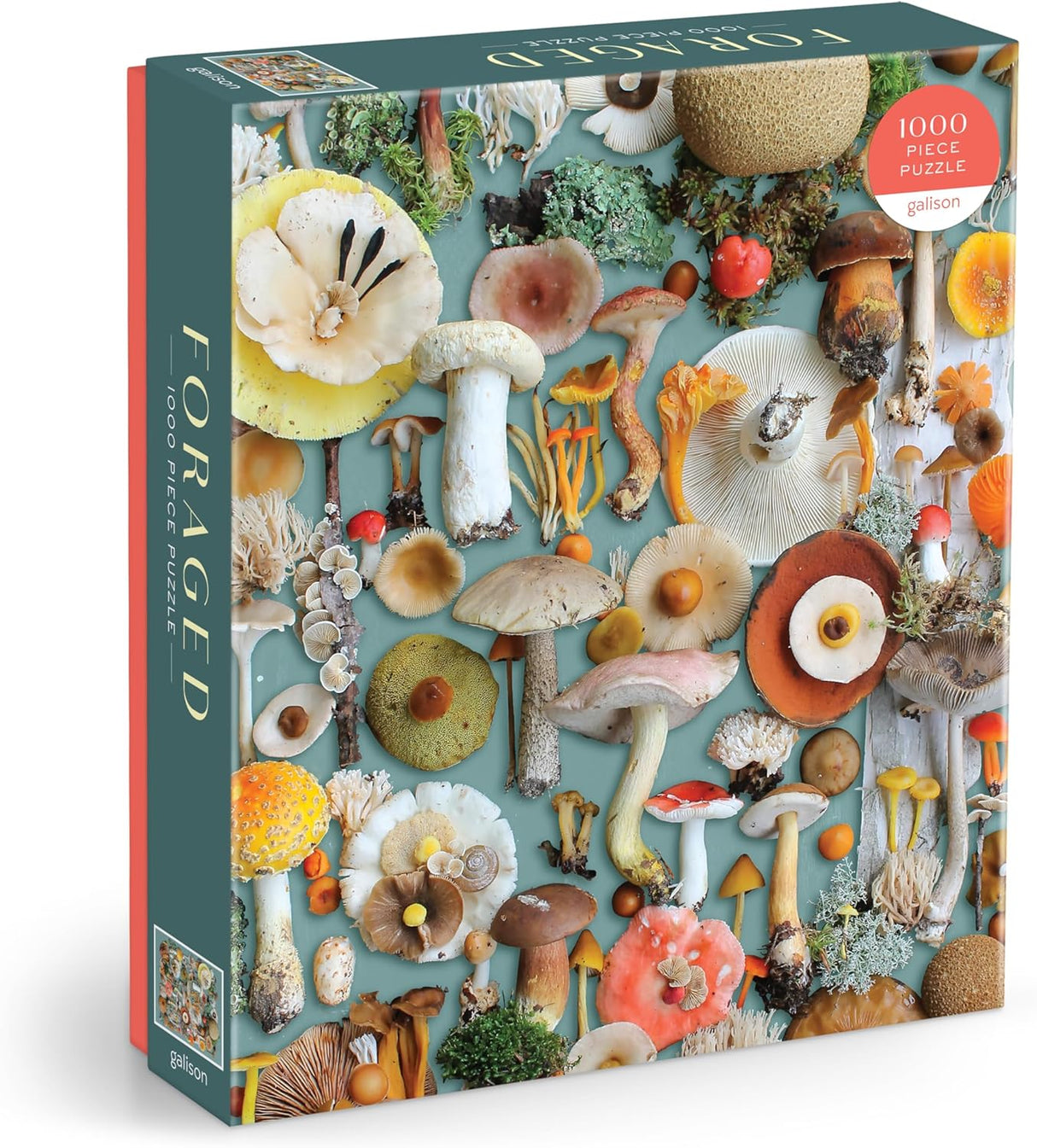 Galison Foraged 1000 Piece Puzzle with Bright and Bold Artwork of A Mushroom Collection