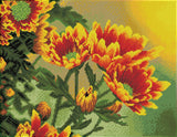 Field Daisies (Framed Square)