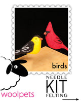 Birds Felting Kit