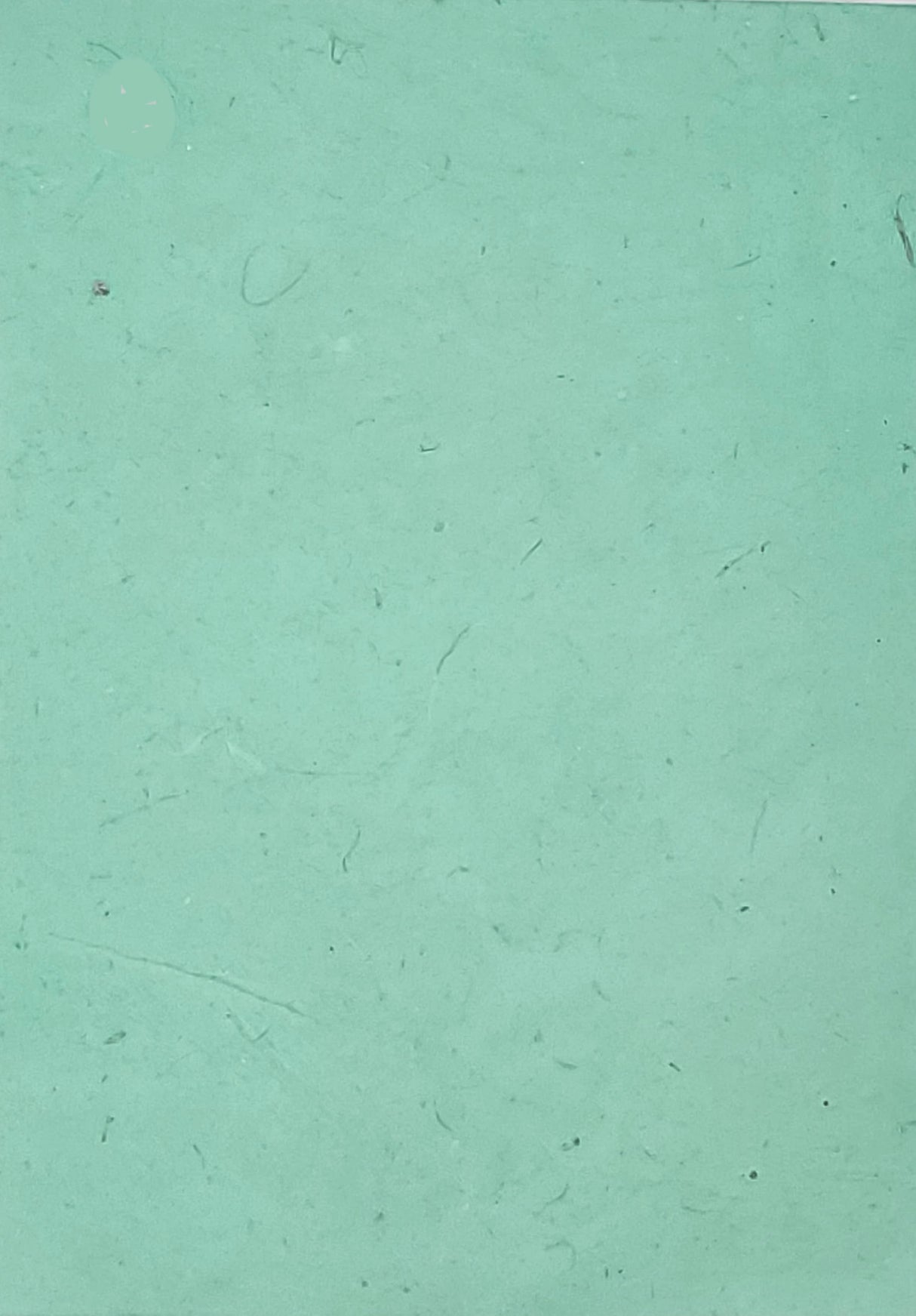 Lokta Dyed Tropical Water