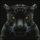 If Looks Could Kill (Framed Square)