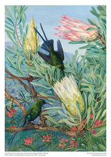 Marianne North: Honeyflowers And Honeysuckers Jigsaw Puzzle