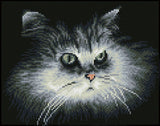 Shadow Cat (Framed Square)