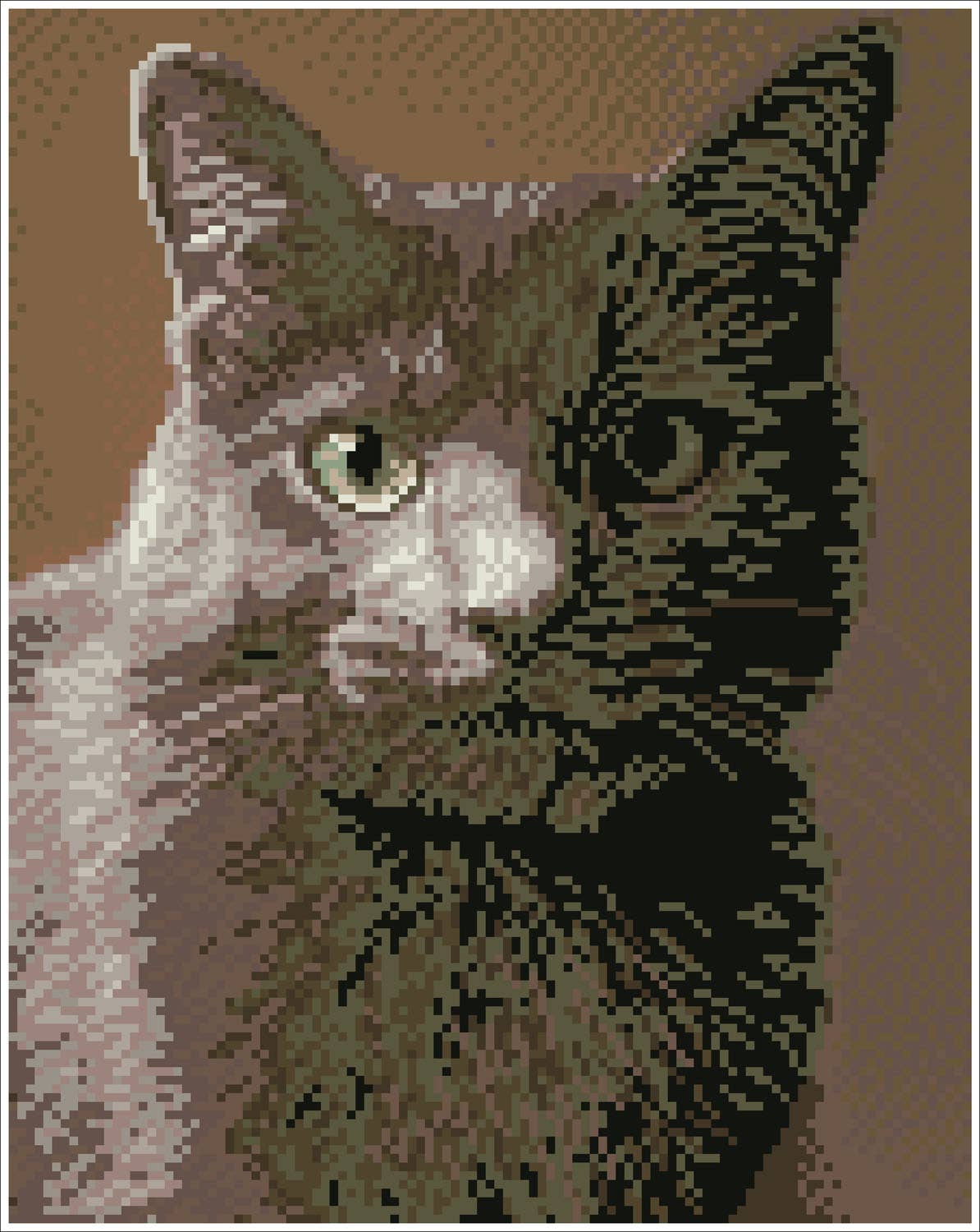 Smokey (Framed Square)