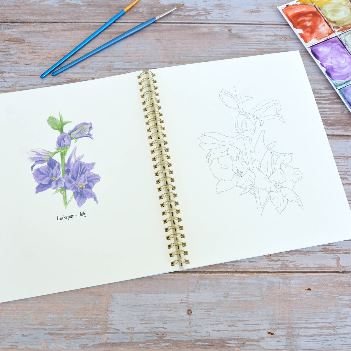 Watercolor workbook, Birth Month Flowers Watercoloring book