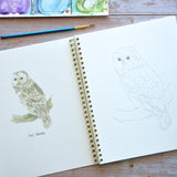 Watercolor workbook, Birth Month Birds Watercoloring book