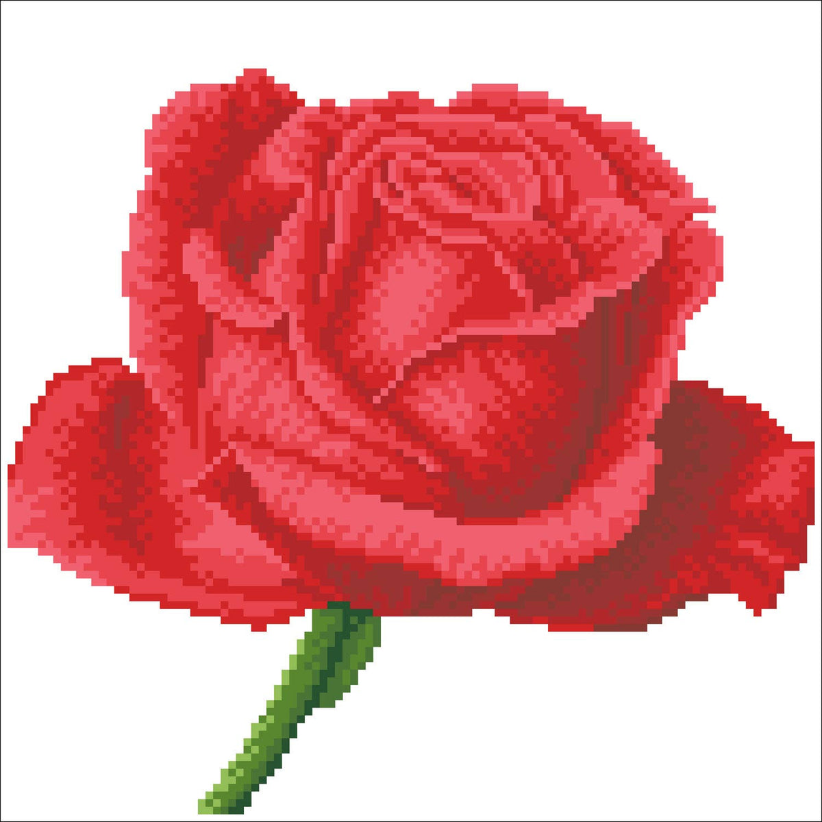 Rose Bud (Framed)