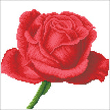 Rose Bud (Framed)