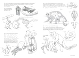 Morpho: Mammals